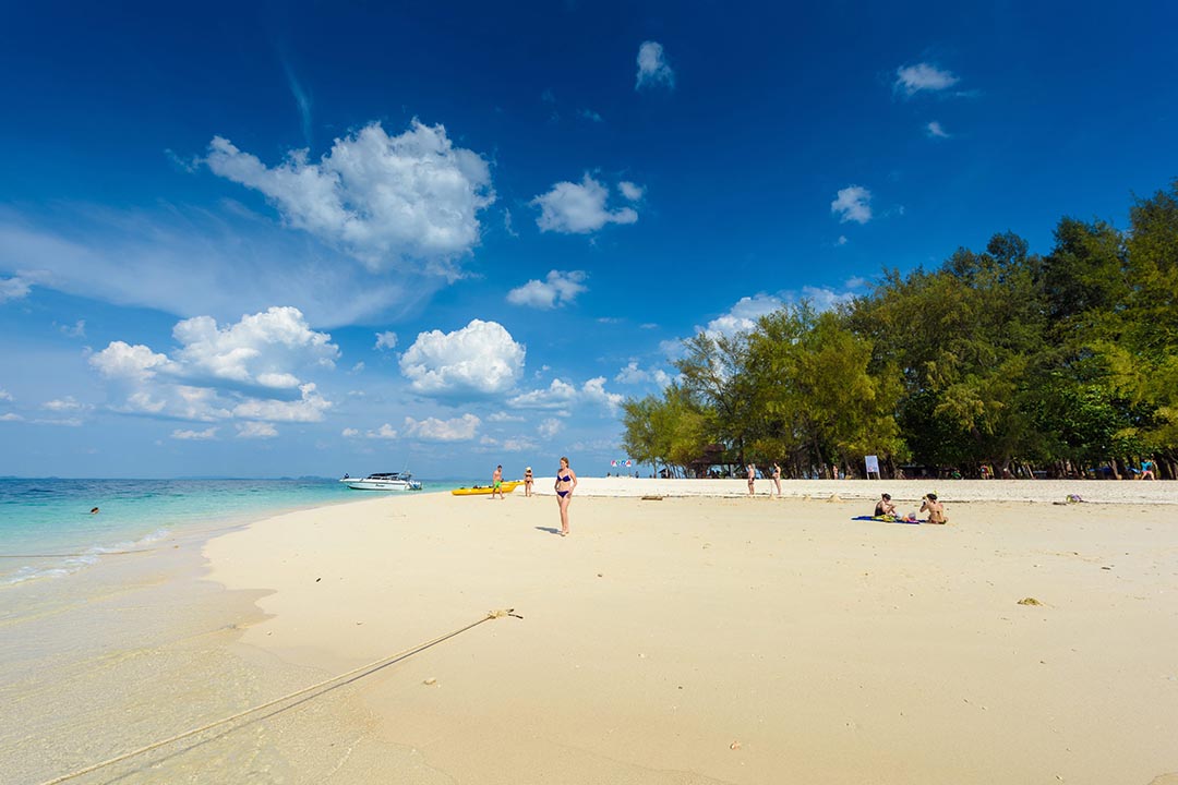 Playa y aguas cristalinas de Chicken Island Playa y aguas cristalinas de Chicken Island